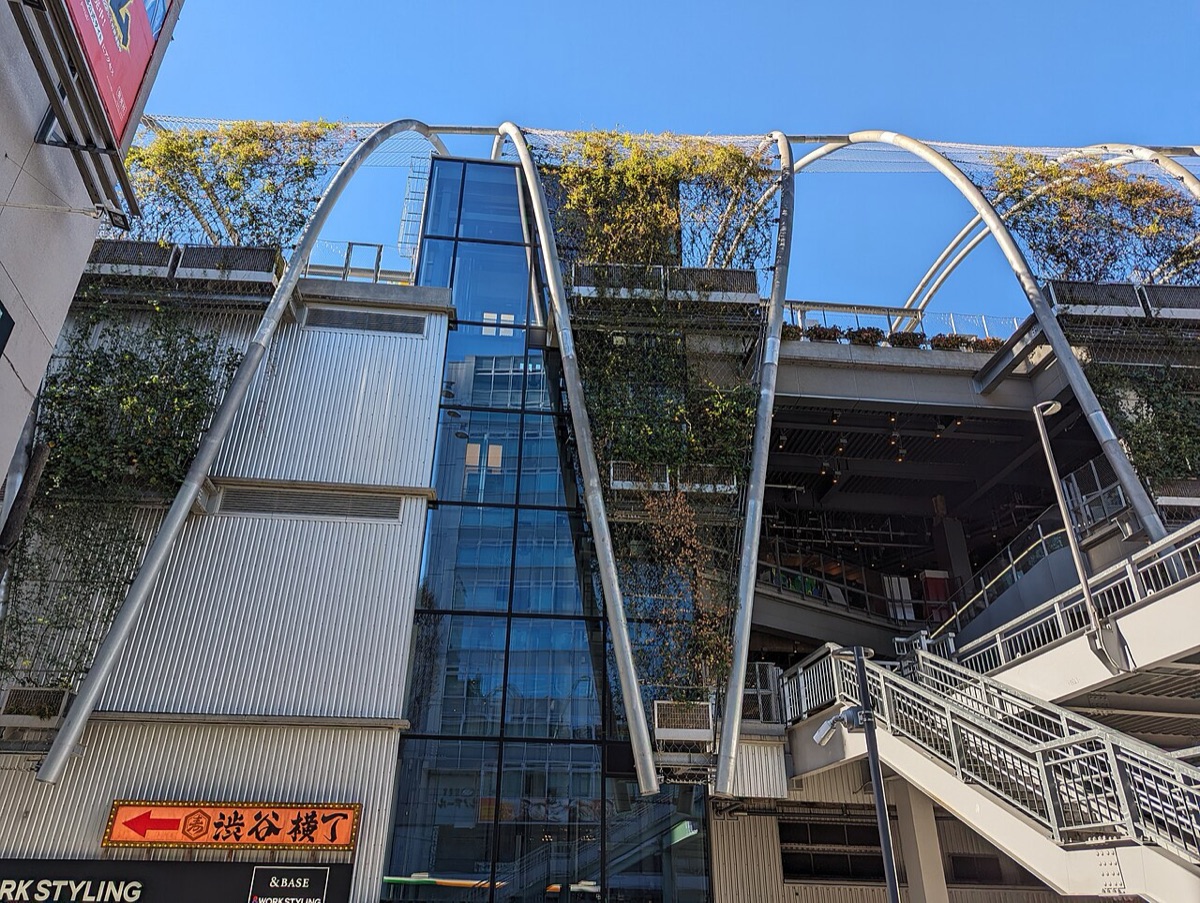 adidas PLAY FREE PARK